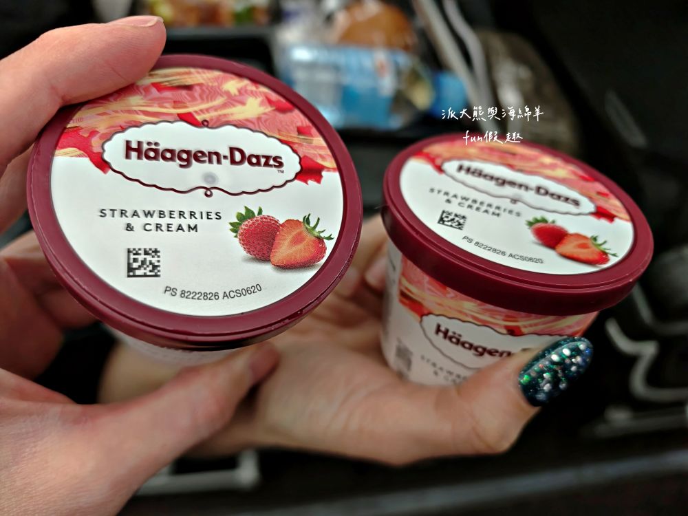 新航飛機餐全紀錄︱新加坡航空經濟艙餐點 餐食初體驗～2025春季德瑞13日夢幻跟團︱DAY1-2