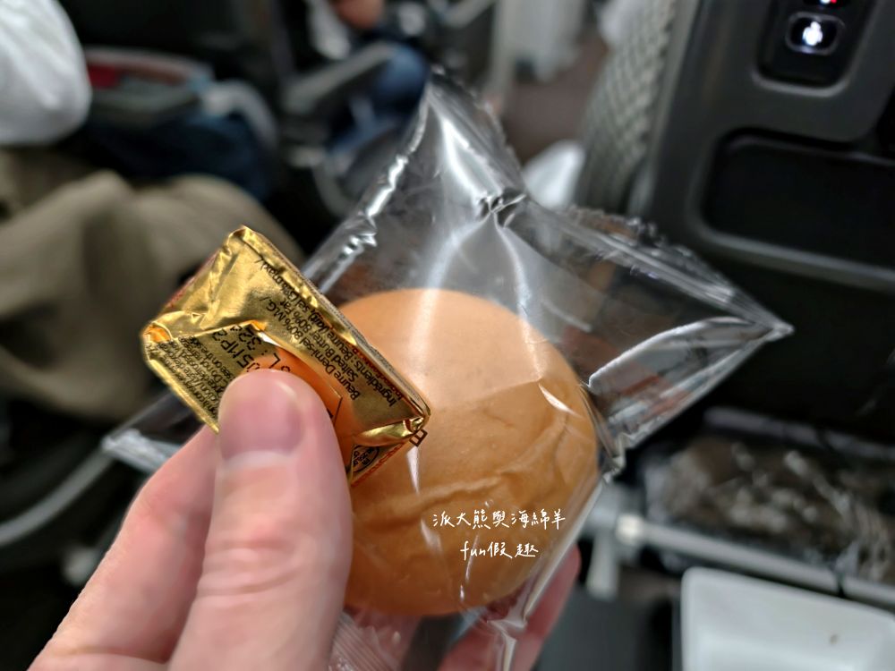 新航飛機餐全紀錄︱新加坡航空經濟艙餐點 餐食初體驗～2025春季德瑞13日夢幻跟團︱DAY1-2