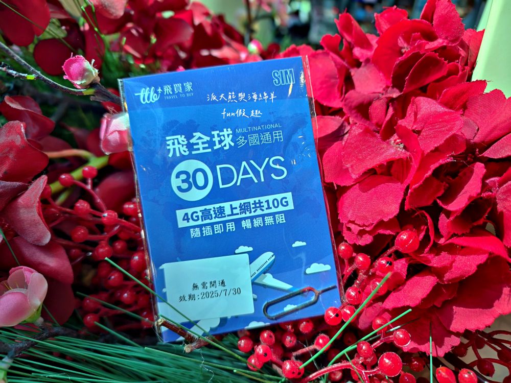 2025【桃園機場第二航廈】環亞機場貴賓室設備餐點介紹、飛買家歐洲網卡SIM卡實測分享、新加坡航空體驗及樟宜機場亮點，機場旅行必看～春季德瑞13日夢幻跟團︱DAY1-1啟程
