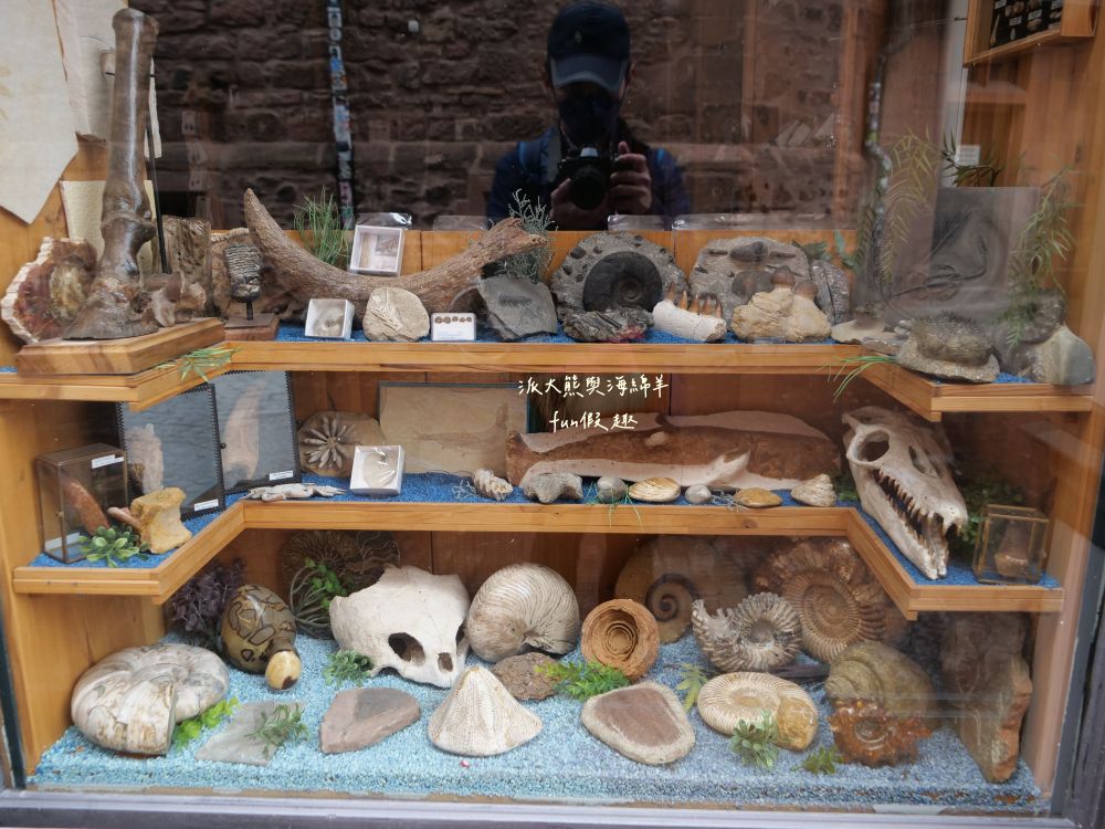 海德堡老城區︱購物、美食、伴手禮︱海德堡學生之吻、雪球（Schneeballenträume）、德國派對熊（Bären-Treff Heidelberg）、中世紀騎士餐廳、LAMY筆、4711科隆古龍水︱春季德瑞13日夢幻跟團～DAY2-4