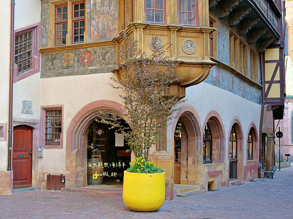 科爾馬景點篇︱朝聖霍爾的移動城堡藍圖（Pfister House）、聖瑪爾定教堂（Collégiale Saint-Martin de Colmar）與人頭屋（Maison des Têtes）︱春季德瑞13日夢幻跟團︱DAY4-2～Colmar PART2