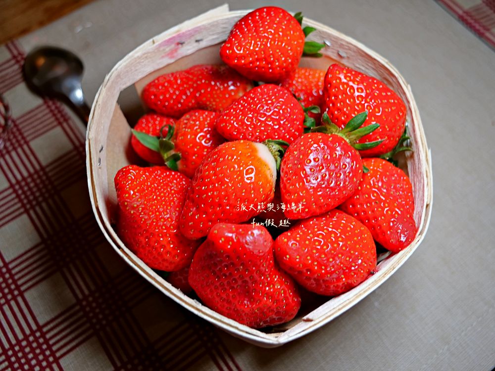 2025科爾馬美食購物篇︱Marché Couvert Colmar(百年市場)、PAUL Colmar Centre(可頌麵包)、La Belle Alsace(紀念品專賣)、Colmar WISTUB BRENNER(米其林推薦餐廳)︱春季德瑞13日夢幻跟團︱DAY4-3～