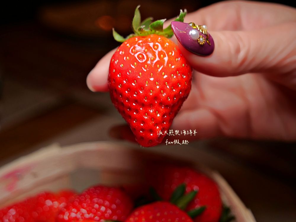 2025科爾馬美食購物篇︱Marché Couvert Colmar(百年市場)、PAUL Colmar Centre(可頌麵包)、La Belle Alsace(紀念品專賣)、Colmar WISTUB BRENNER(米其林推薦餐廳)︱春季德瑞13日夢幻跟團︱DAY4-3～