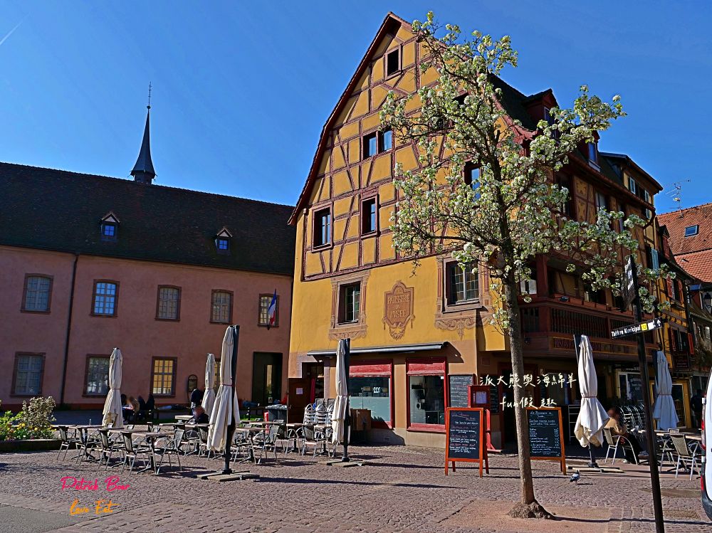 2025科爾馬美食購物篇︱Marché Couvert Colmar(百年市場)、PAUL Colmar Centre(可頌麵包)、La Belle Alsace(紀念品專賣)、Colmar WISTUB BRENNER(米其林推薦餐廳)︱春季德瑞13日夢幻跟團︱DAY4-3～