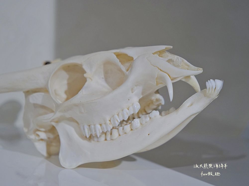 原之驛Ba-Bu樂園X LiMA南投站｜南投名間交流道旁原民文化據點，部落經濟新平台，工藝手作、原民服飾與在地農特產一次收藏，還可以預訂烤豬風味大餐！