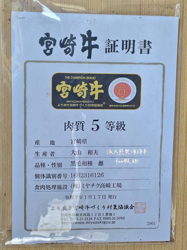 唯真燒肉 南投草屯店｜終於不用跑臺中！挑戰在地最強CP值：雙人套餐肉量直逼1公斤，絕美稻浪x神級泰式烤肉醬x銷魂一饌冬蔭功湯底，免服務費無低消，還有證書的日本A5和牛！