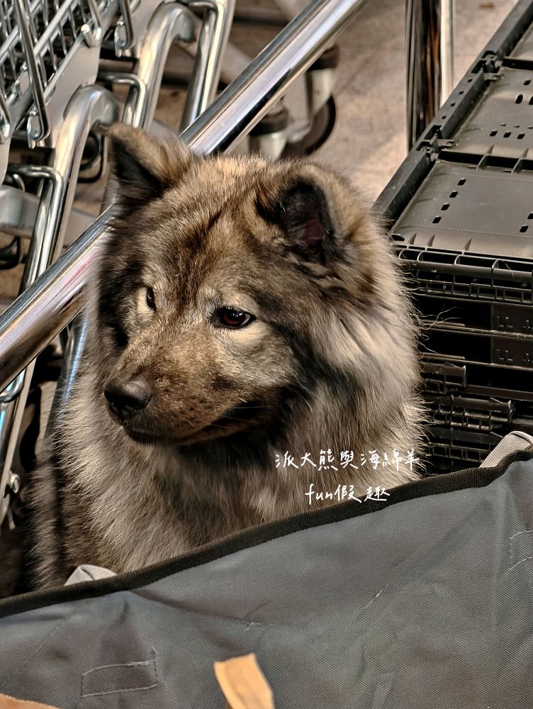 瑞士Coop連鎖超市介紹懶人包︱瑞士旅遊自助補給站：琉森Luzern、茵特拉根Interlaken、策馬特Zermatt，開箱三間Coop超市，零食/熱食/伴手禮，三種願望全部搞定︱春季德瑞13日夢幻跟團～DAY4-9