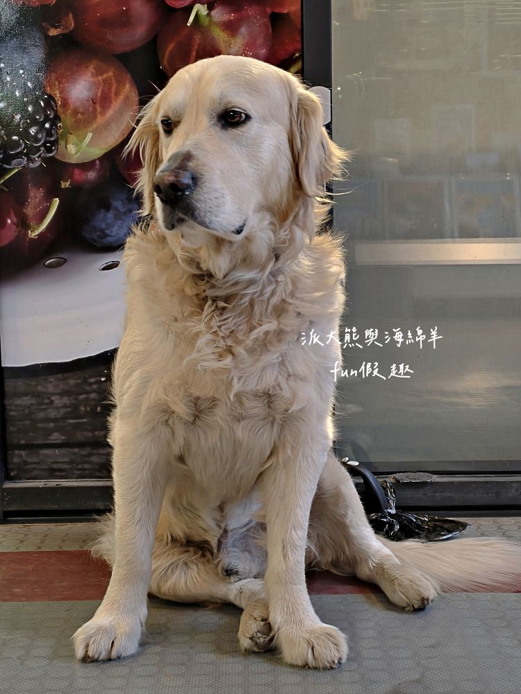 瑞士Coop連鎖超市介紹懶人包︱瑞士旅遊自助補給站：琉森Luzern、茵特拉根Interlaken、策馬特Zermatt，開箱三間Coop超市，零食/熱食/伴手禮，三種願望全部搞定︱春季德瑞13日夢幻跟團～DAY4-9