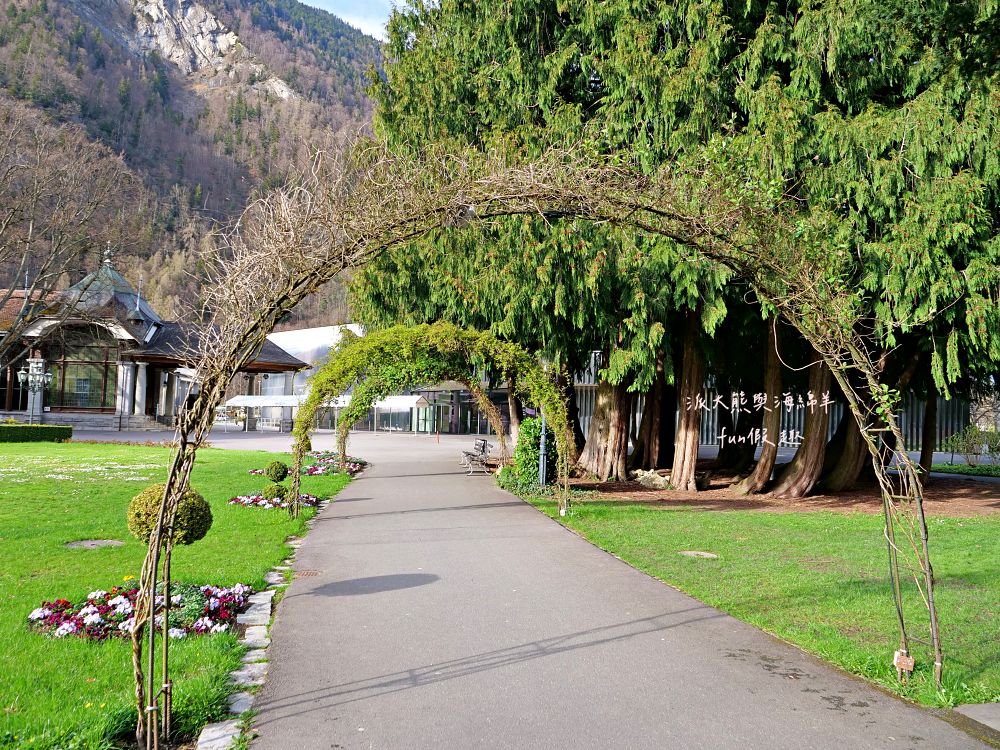 Interlaken︱少女峰下山順遊茵特拉肯:仰望滿天飛行傘,少女峰山腳下的浪漫午後時光~春季德瑞13日夢幻跟團︱DAY6-4 - 第9張圖 Interlaken︱少女峰下山順遊茵特拉肯:仰望滿天飛行傘,少女峰山腳下的浪漫午後時光~春季德瑞13日夢幻跟團︱DAY6-4