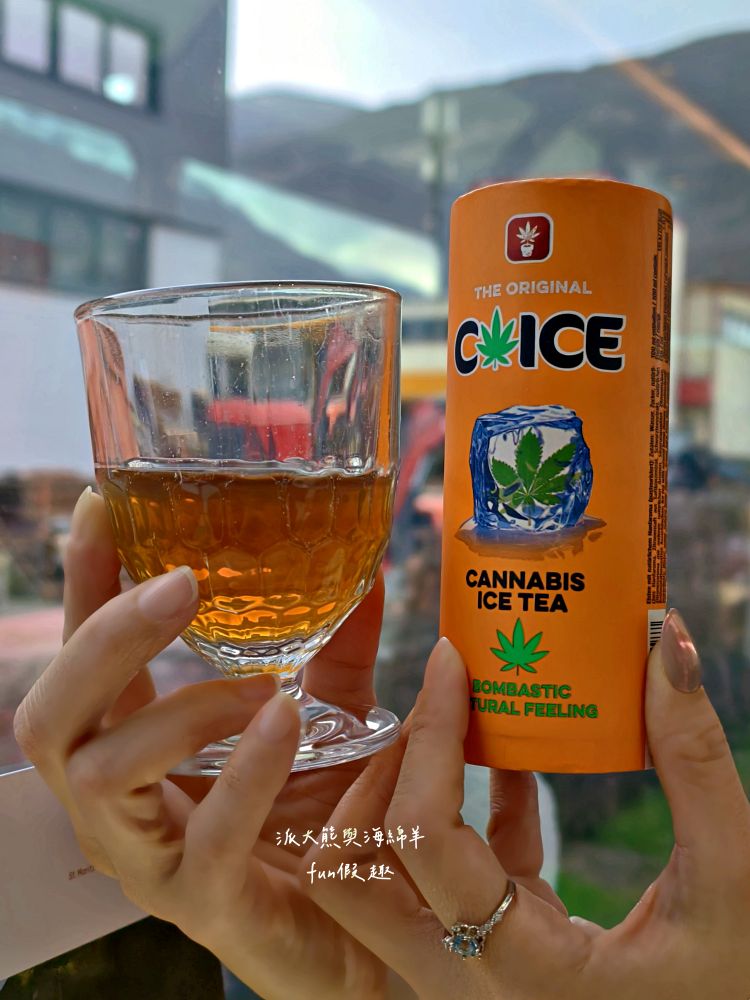 冰河列車(Glacier Express)︱解鎖全球最慢快車,全景窗配瓦萊州美食!策馬特到庫爾5.5小時慢旅行,最奢侈的阿爾卑斯鐵道饗宴~春季德瑞13日夢幻跟團︱DAY9-1 - 第38張圖 冰河列車(Glacier Express)︱解鎖全球最慢快車,全景窗配瓦萊州美食!策馬特到庫爾5.5小時慢旅行,最奢侈的阿爾卑斯鐵道饗宴~春季德瑞13日夢幻跟團︱DAY9-1